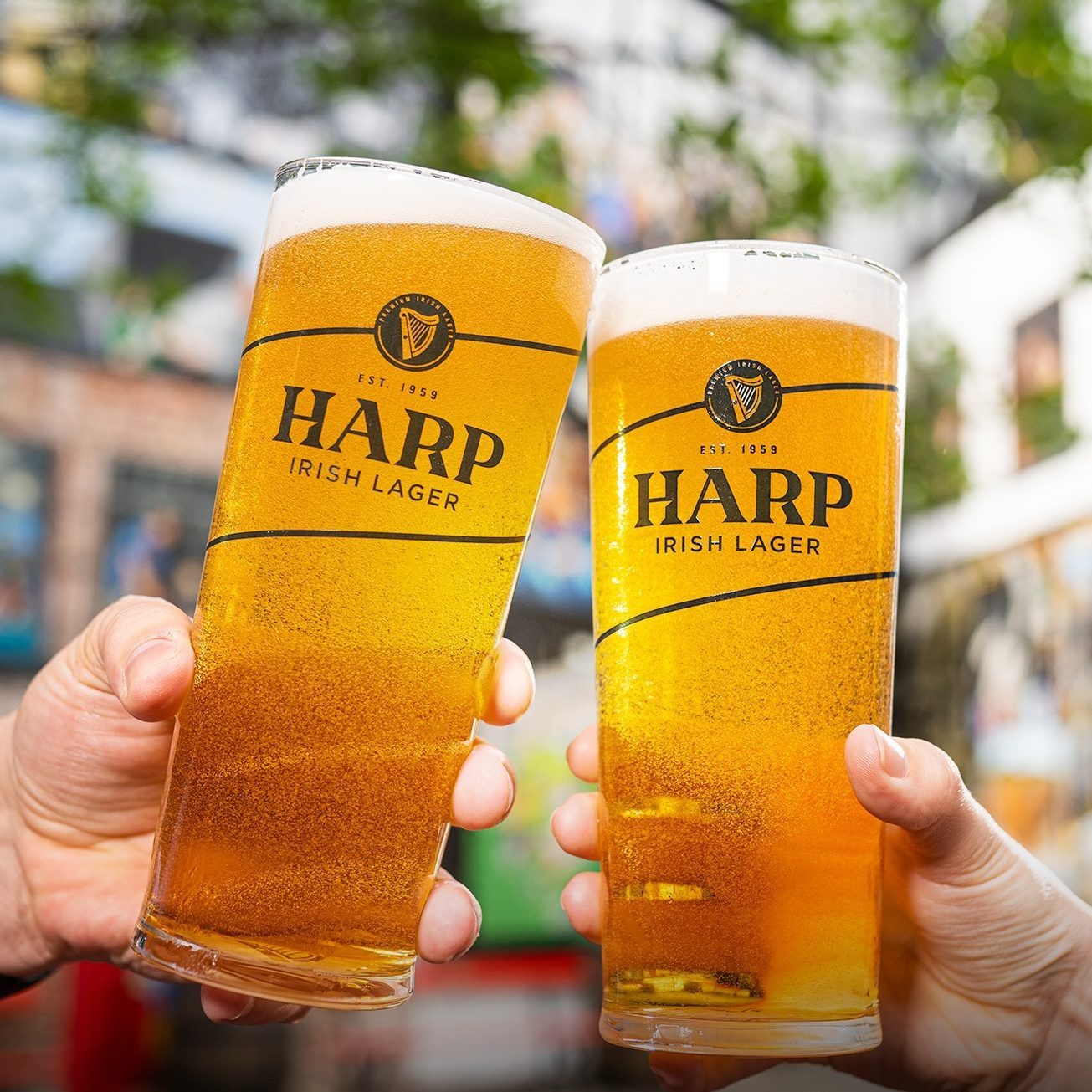 The Best Irish Beers to Enjoy on St. Patrick’s Day