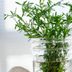 How Long Do Fresh Herbs Last in the Fridge?