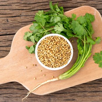 Coriander seeds and Cilantro on cutting board
