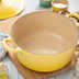 The Dangerous Mistake You Could Be Making with Enameled Cast Iron