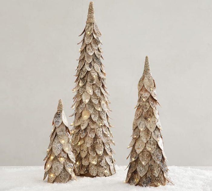 Rustic Birch Trees
