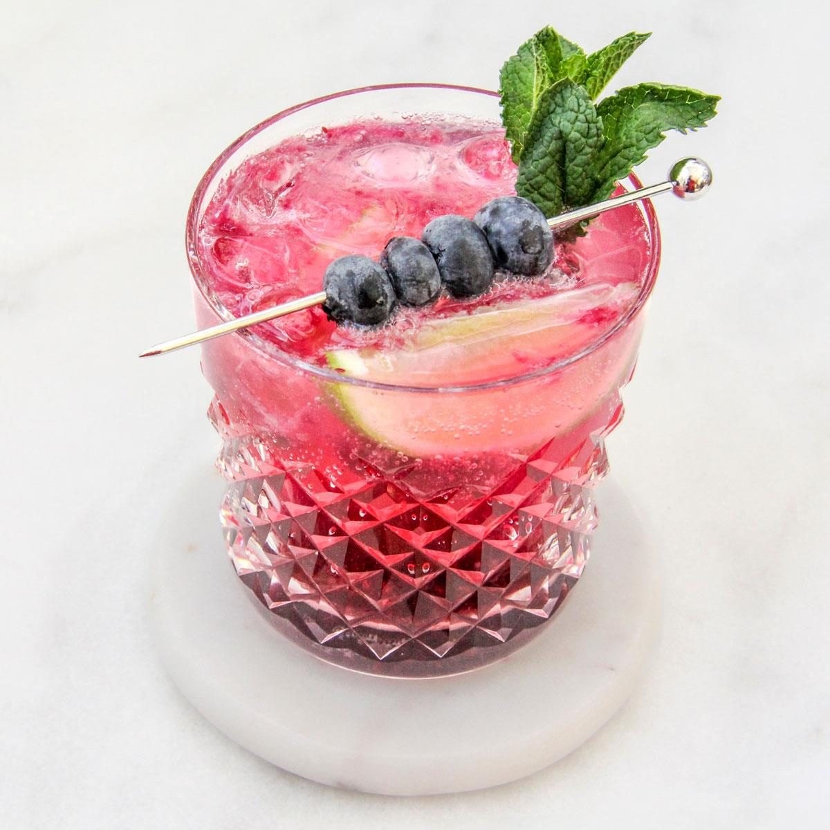 Blueberry Gin and Tonic