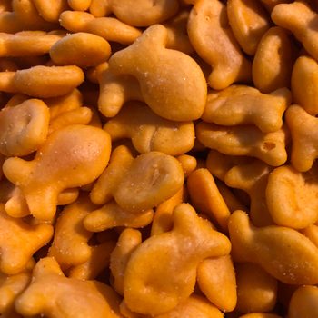 Close-up of a pile of Goldfish Crackers