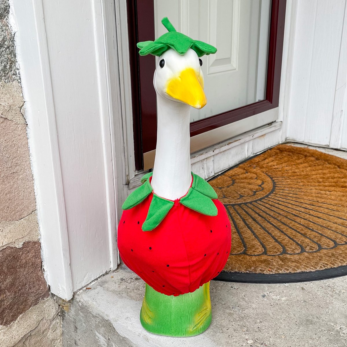 Porch Goose 