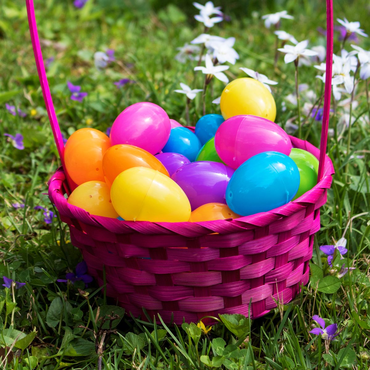 Bright Easter Eggs in a Basket on grass with flowers in the background